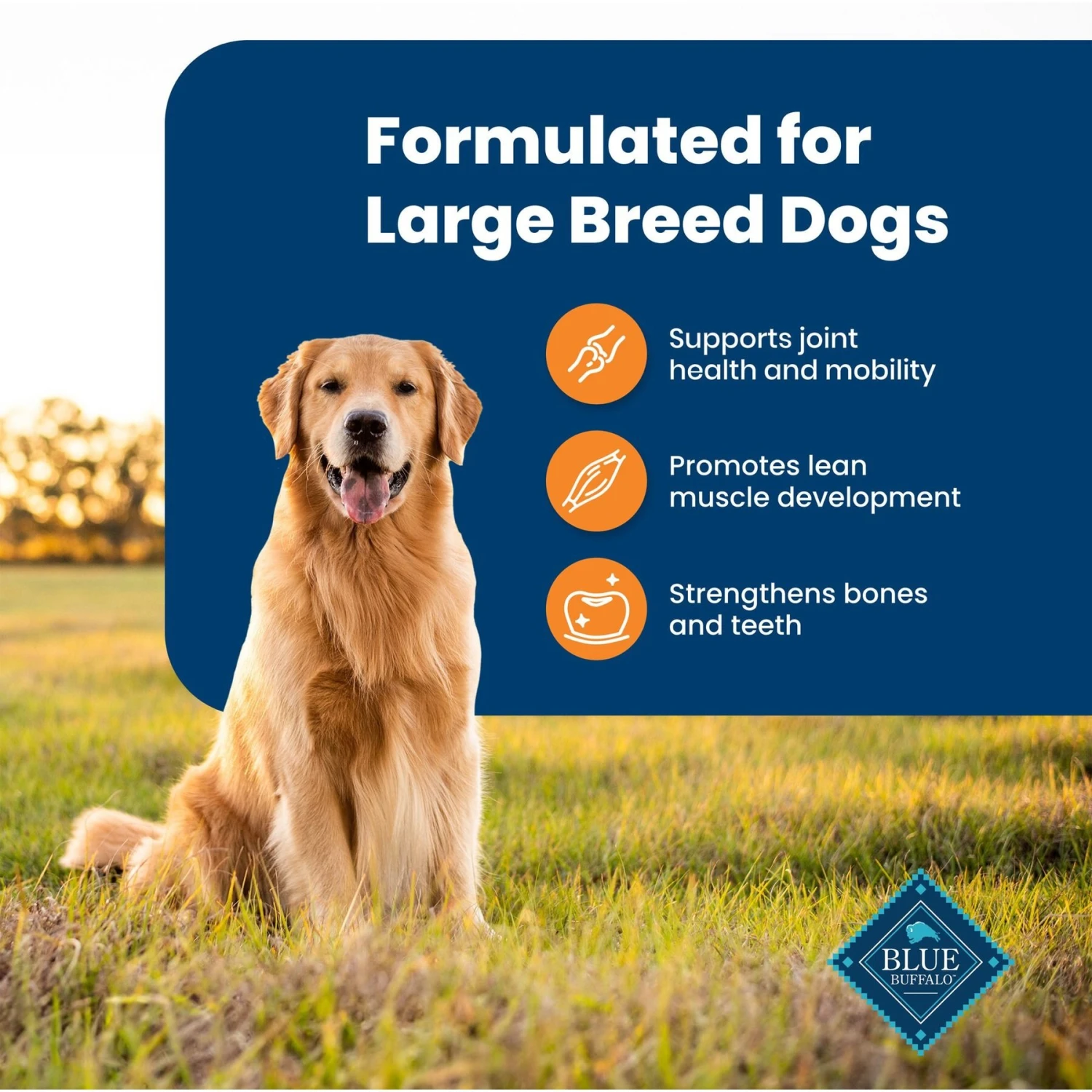 Blue Buffalo Life Protection Formula Large Breed Adult Chicken & Brown Rice Recipe Dry Dog Food 4 Blue Buffalo Life Protection Formula Large Breed Adult Chicken & Brown Rice Recipe Dry Dog Food - Image 4