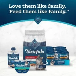 Blue Buffalo Tastefuls Indoor Natural Salmon & Brown Rice Adult Dry Cat Food -Blue Buffalo 46885 PT8. AC SS1800 V1694184666