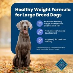 Blue Buffalo Life Protection Formula Large Breed Healthy Weight Adult Chicken & Brown Rice Recipe Dry Dog Food -Blue Buffalo 46892 PT3. AC SS1800 V1701982219