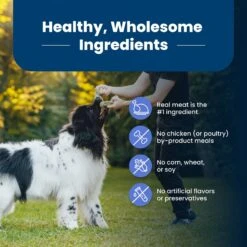 Blue Buffalo Life Protection Formula Large Breed Healthy Weight Adult Chicken & Brown Rice Recipe Dry Dog Food -Blue Buffalo 46892 PT5. AC SS1800 V1701982218