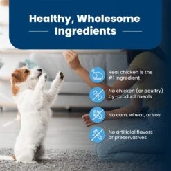 Blue Buffalo Life Protection Formula Puppy Chicken & Brown Rice Recipe Dry Dog Food -Blue Buffalo 46898 PT5. AC SS1800 V1704319771