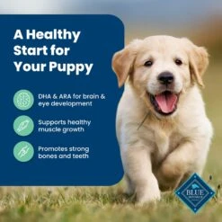 Blue Buffalo Life Protection Formula Puppy Lamb & Oatmeal Recipe Dry Dog Food -Blue Buffalo 46902 PT3. AC SS1800 V1702597352