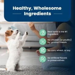 Blue Buffalo Life Protection Formula Puppy Lamb & Oatmeal Recipe Dry Dog Food -Blue Buffalo 46902 PT5. AC SS1800 V1702597353