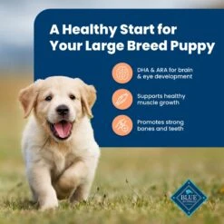 Blue Buffalo Life Protection Formula Large Breed Puppy Chicken & Brown Rice Recipe Dry Dog Food -Blue Buffalo 46904 PT3. AC SS1800 V1689357587