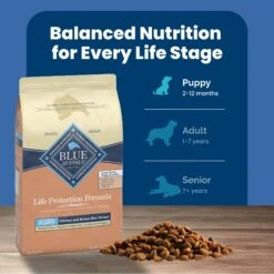 Blue Buffalo Life Protection Formula Large Breed Puppy Chicken & Brown Rice Recipe Dry Dog Food -Blue Buffalo 46904 PT6. AC SS1800 V1689357643