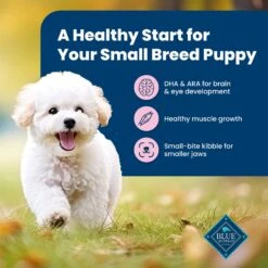 Blue Buffalo Life Protection Formula Small Breed Puppy Chicken & Oatmeal Recipe Dry Dog Food 12 Blue Buffalo Life Protection Formula Small Breed Puppy Chicken & Oatmeal Recipe Dry Dog Food -Blue Buffalo 46906 PT3. AC SS1800 V1636149453