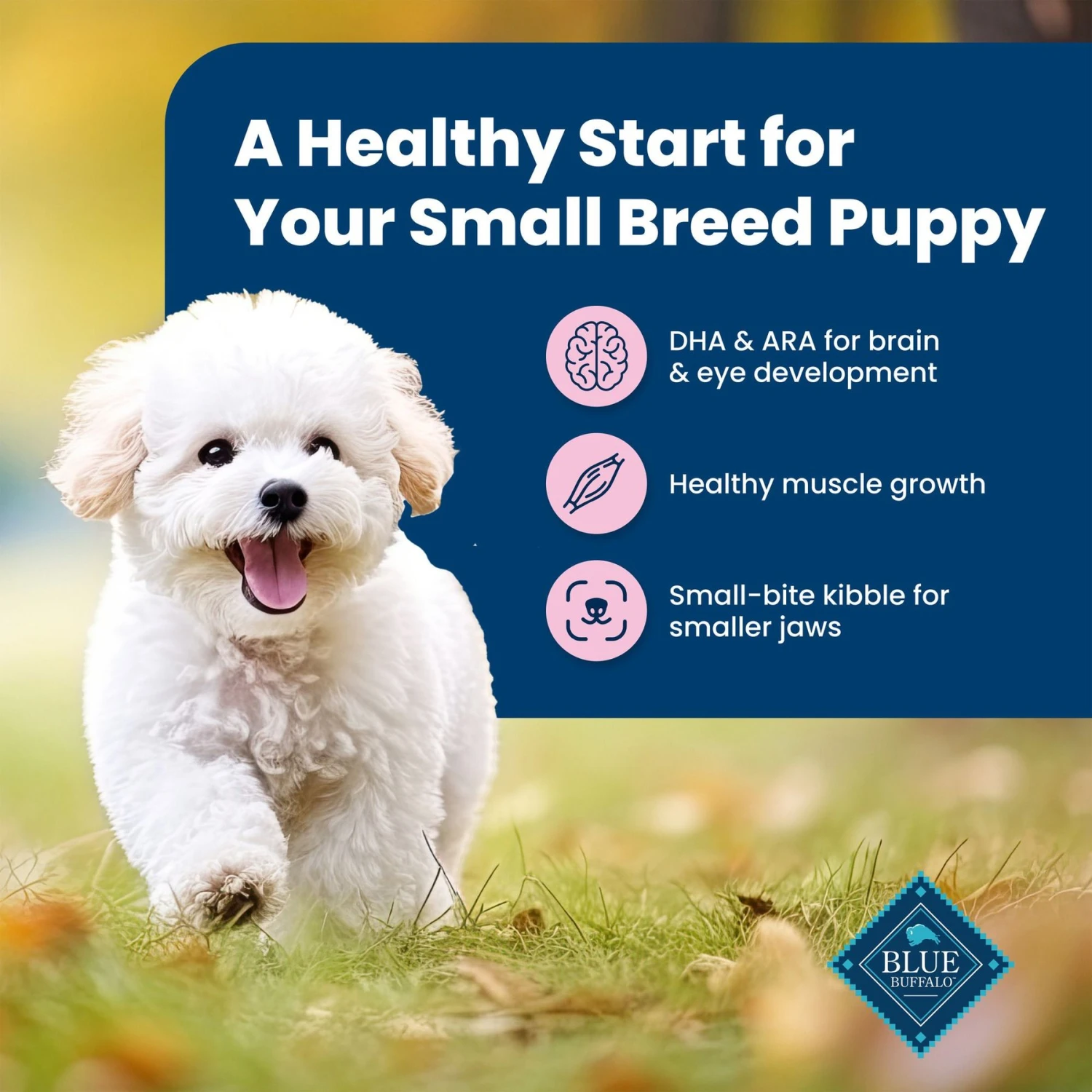 Blue Buffalo Life Protection Formula Small Breed Puppy Chicken & Oatmeal Recipe Dry Dog Food 4 Blue Buffalo Life Protection Formula Small Breed Puppy Chicken & Oatmeal Recipe Dry Dog Food - Image 4