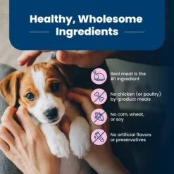 Blue Buffalo Life Protection Formula Small Breed Puppy Chicken & Oatmeal Recipe Dry Dog Food 14 Blue Buffalo Life Protection Formula Small Breed Puppy Chicken & Oatmeal Recipe Dry Dog Food -Blue Buffalo 46906 PT5. AC SS1800 V1636146121