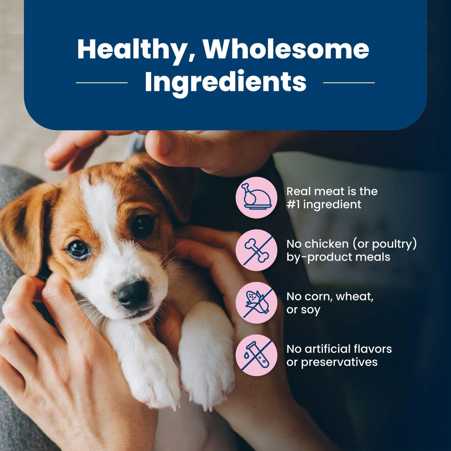 Blue Buffalo Life Protection Formula Small Breed Puppy Chicken & Oatmeal Recipe Dry Dog Food 6 Blue Buffalo Life Protection Formula Small Breed Puppy Chicken & Oatmeal Recipe Dry Dog Food - Image 6