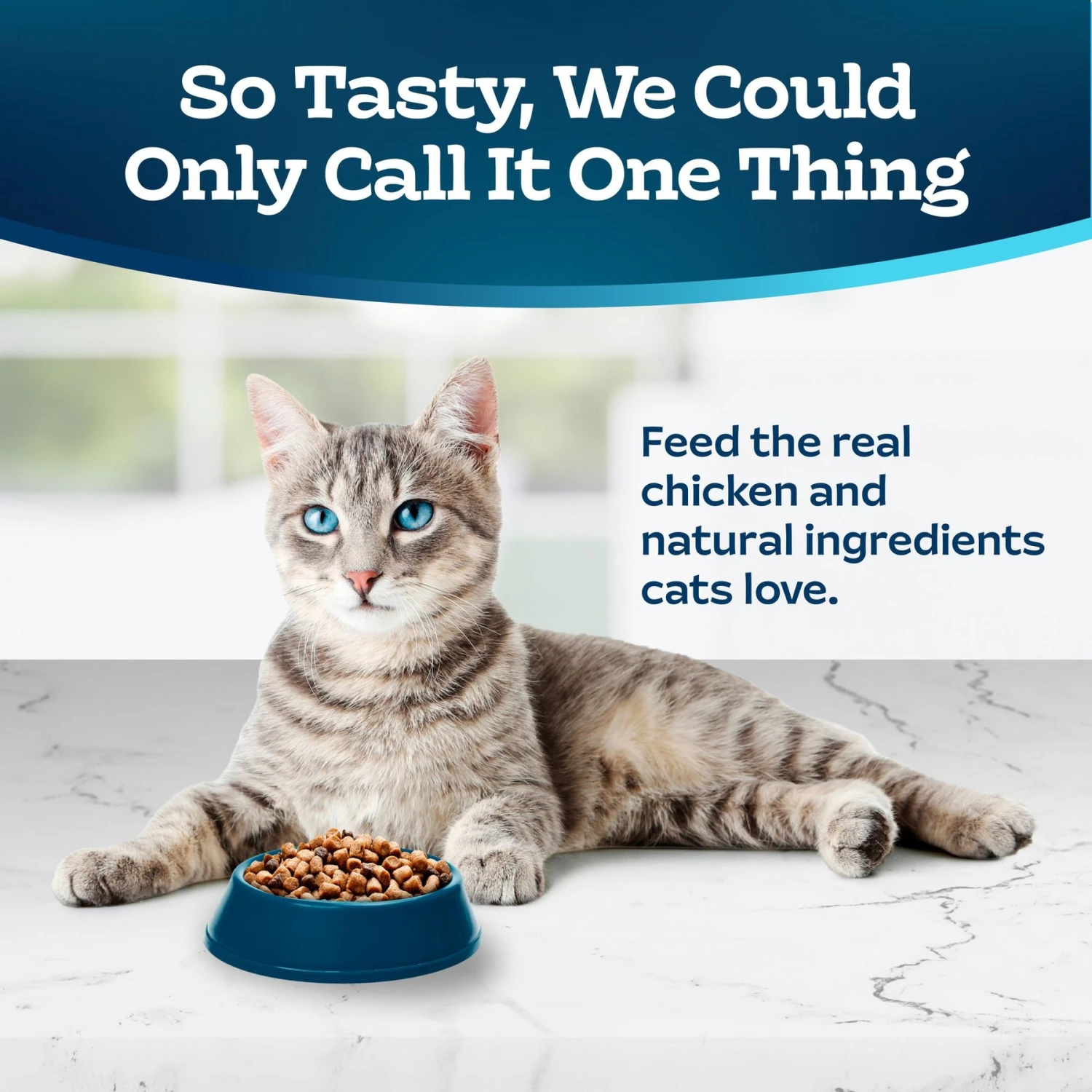 Blue Buffalo Tastefuls Chicken Indoor Natural Adult Dry Cat Food 3 Blue Buffalo Tastefuls Chicken Indoor Natural Adult Dry Cat Food - Image 3
