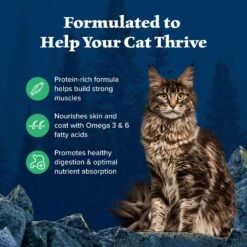 Blue Buffalo Wilderness Duck Recipe Grain-Free Dry Cat Food -Blue Buffalo 46922 PT3. AC SS1800 V1599017754