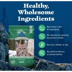 Blue Buffalo Wilderness Duck Recipe Grain-Free Dry Cat Food -Blue Buffalo 46922 PT5. AC SS1800 V1599016260