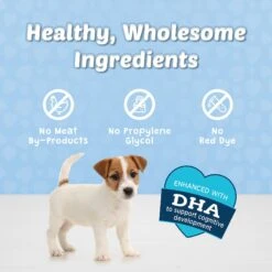 Blue Buffalo Blue Bits Tasty Chicken Recipe Soft-Moist Training Dog Treats -Blue Buffalo 46937 PT6. AC SS1800 V1601538958