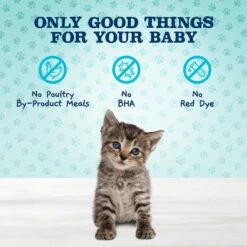 Blue Buffalo Baby Blue Savory Salmon Kitten Treats, 2-oz Bag & Blue Buffalo Baby Blue Savory Chicken Kitten Treats, 2-oz Bag -Blue Buffalo 501774 PT5. AC SS1800 V1649355405