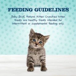 Blue Buffalo Baby Blue Savory Salmon Kitten Treats, 2-oz Bag & Frisco Bird With Feathers Teaser Wand Cat Toy With Catnip 14 Blue Buffalo Baby Blue Savory Salmon Kitten Treats, 2-oz Bag & Frisco Bird With Feathers Teaser Wand Cat Toy With Catnip -Blue Buffalo 501918 PT5. AC SS1800 V1648504917