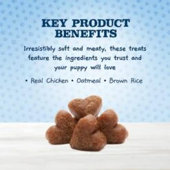 Blue Buffalo Baby Blue Natural Savory Chicken Puppy Treats, 4-oz Bag & Nylabone Puppy Pacifier Teething Toy Chew Teething Pacifier Bacon -Blue Buffalo 501978 PT3. AC SS1800 V1648515123