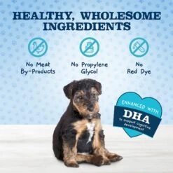 Blue Buffalo Baby Blue Natural Savory Chicken Puppy Treats, 4-oz Bag & Nylabone Puppy Pacifier Teething Toy Chew Teething Pacifier Bacon -Blue Buffalo 501978 PT4. AC SS1800 V1648511201