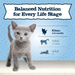 Blue Buffalo Baby Blue Healthy Growth Formula Grain-Free High Protein Salmon Recipe Kitten Wet Food, 3-oz Cans, Case Of 24 15 Blue Buffalo Baby Blue Healthy Growth Formula Grain-Free High Protein Salmon Recipe Kitten Wet Food, 3-oz Cans, Case Of 24 -Blue Buffalo 502278 PT7. AC SS1800 V1647638580