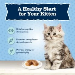 Blue Buffalo Baby Blue Healthy Growth Formula Grain-Free High Protein Chicken Recipe Kitten Wet Food, 3-oz Cans, Case Of 24 11 Blue Buffalo Baby Blue Healthy Growth Formula Grain-Free High Protein Chicken Recipe Kitten Wet Food, 3-oz Cans, Case Of 24 -Blue Buffalo 502302 PT3. AC SS1800 V1647638490