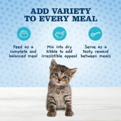 Blue Buffalo Baby Blue Healthy Growth Formula Grain-Free High Protein Variety Pack Kitten Wet Food, 3-oz Can, Case Of 6 10 Blue Buffalo Baby Blue Healthy Growth Formula Grain-Free High Protein Variety Pack Kitten Wet Food, 3-oz Can, Case Of 6 -Blue Buffalo 502350 PT2. AC SS1800 V1647639438