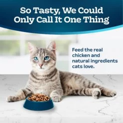 Blue Buffalo Tastefuls Sensitive Stomach Natural Chicken Adult Dry Cat Food -Blue Buffalo 50765 PT2. AC SS1800 V1692644783