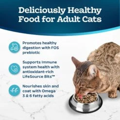Blue Buffalo Tastefuls Sensitive Stomach Natural Chicken Adult Dry Cat Food -Blue Buffalo 50765 PT3. AC SS1800 V1692642080
