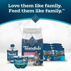 Blue Buffalo Tastefuls Sensitive Stomach Natural Chicken Adult Dry Cat Food -Blue Buffalo 50765 PT8. AC SS1800 V1692642199
