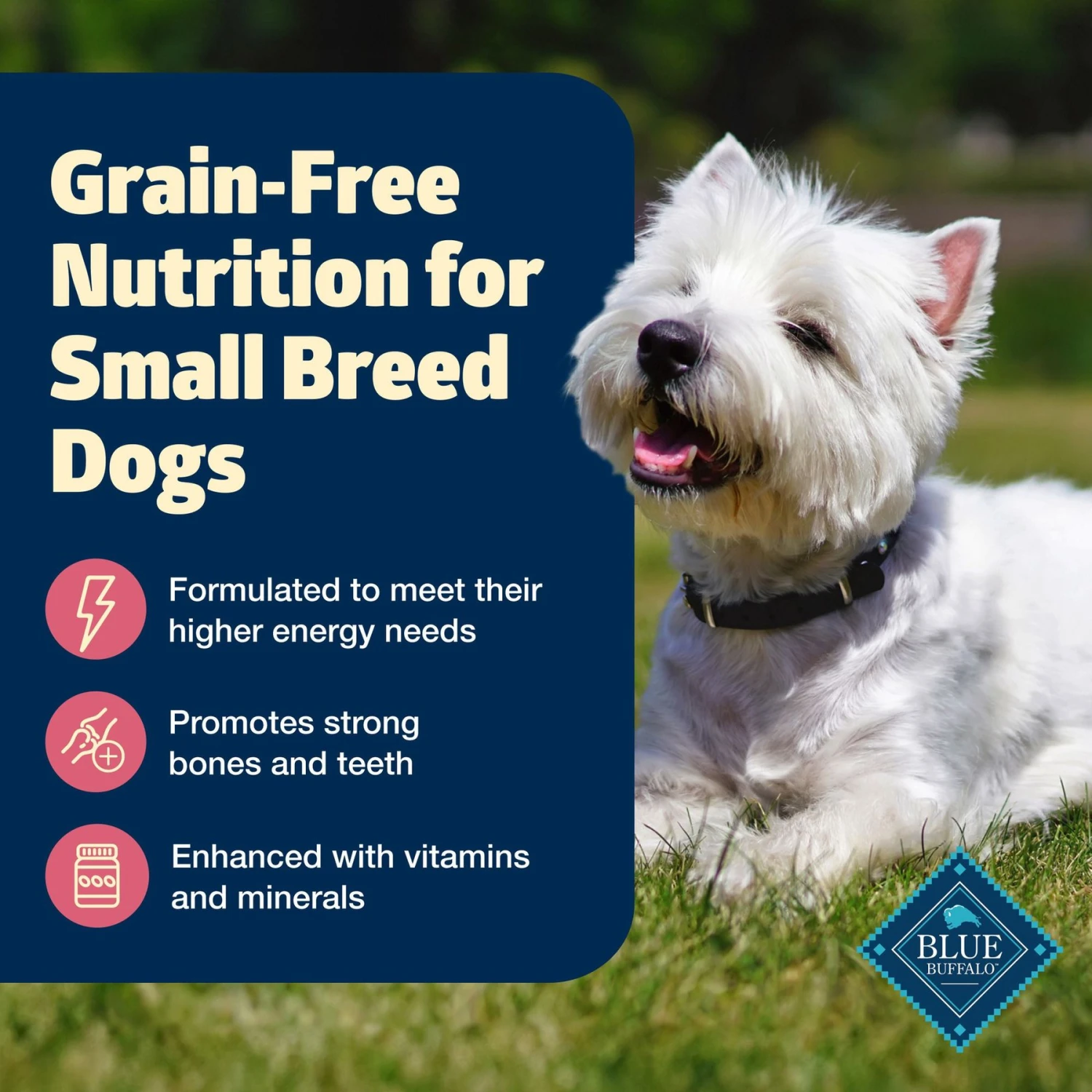 Blue Buffalo Freedom Small Breed Adult Chicken Recipe Grain-Free Dry Dog Food 2 Blue Buffalo Freedom Small Breed Adult Chicken Recipe Grain-Free Dry Dog Food - Image 2