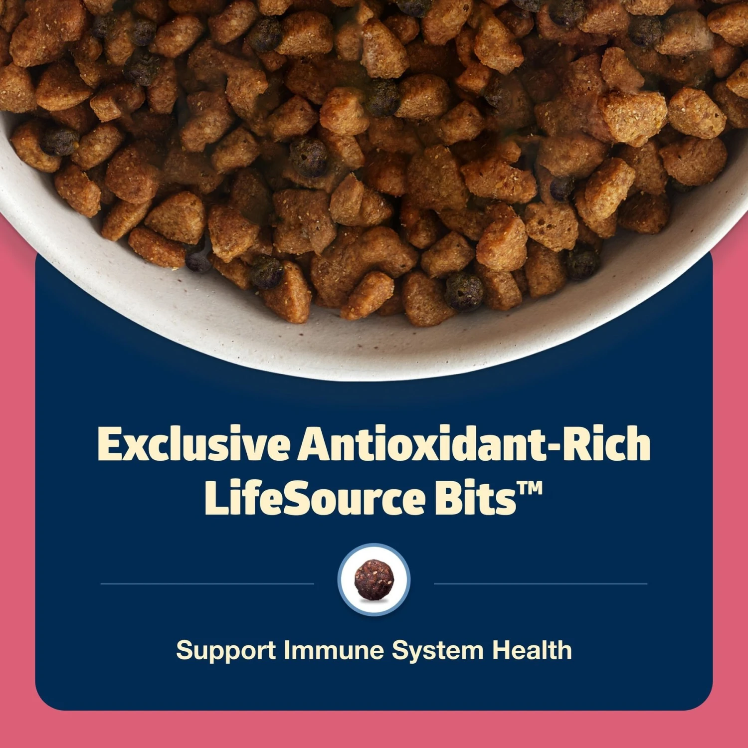 Blue Buffalo Freedom Small Breed Adult Chicken Recipe Grain-Free Dry Dog Food 6 Blue Buffalo Freedom Small Breed Adult Chicken Recipe Grain-Free Dry Dog Food - Image 6