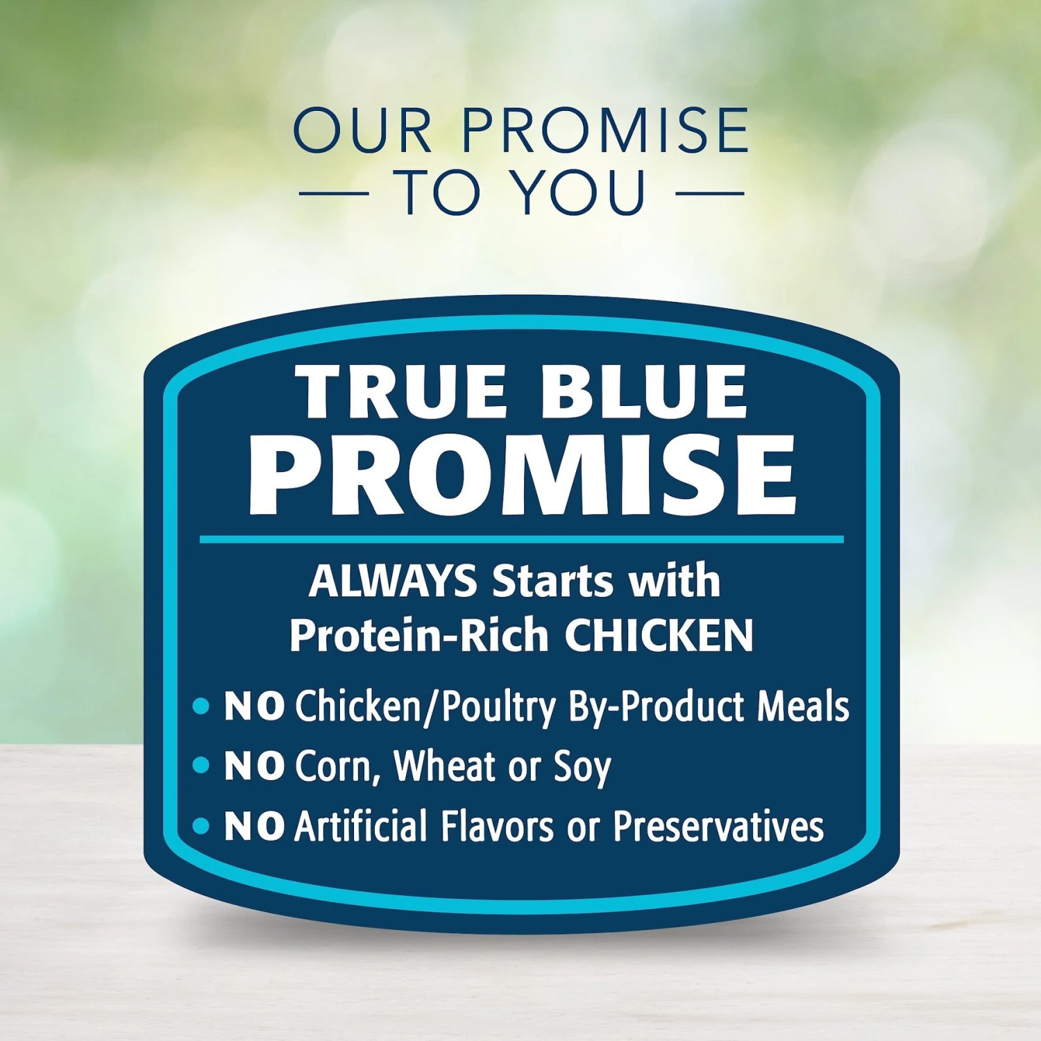 Blue Buffalo Freedom Adult Chicken Recipe Grain-Free Canned Dog Food 6 Blue Buffalo Freedom Adult Chicken Recipe Grain-Free Canned Dog Food - Image 6