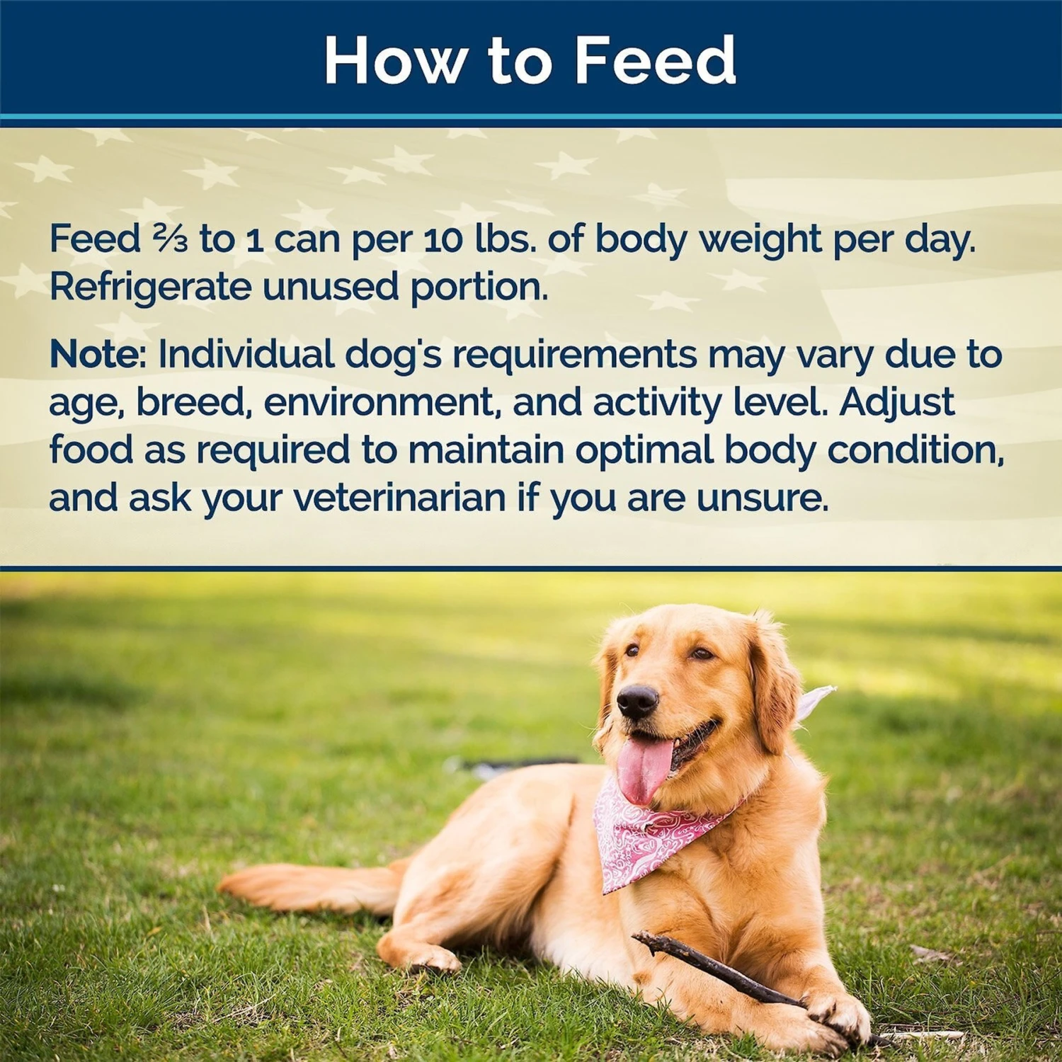 Blue Buffalo Freedom Adult Chicken Recipe Grain-Free Canned Dog Food 7 Blue Buffalo Freedom Adult Chicken Recipe Grain-Free Canned Dog Food - Image 7