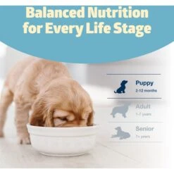 Blue Buffalo Freedom Puppy Chicken Recipe Grain-Free Dry Dog Food -Blue Buffalo 50829 PT7. AC SS1800 V1649117185
