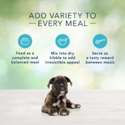 Blue Buffalo Freedom Puppy Chicken Recipe Grain-Free Canned Dog Food 12 Blue Buffalo Freedom Puppy Chicken Recipe Grain-Free Canned Dog Food -Blue Buffalo 50831 PT5. AC SS1800 V1585082500