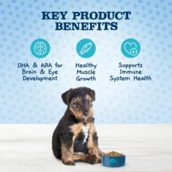 Blue Buffalo Baby Blue Healthy Growth Formula Natural Chicken & Brown Rice Recipe Puppy Dry Food & Blue Buffalo Baby Blue Healthy Growth Formula Natural Chicken & Vegetable Recipe Puppy Wet Food, 12.5-oz Cans, Case Of 12 -Blue Buffalo 514998 PT4. AC SS1800 V1649338588