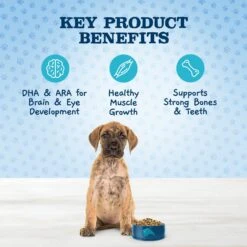 Blue Buffalo Baby Blue Large Breed Healthy Growth Formula Natural Chicken & Brown Rice Recipe Puppy Dry Food, 24-lb Bag & Blue Buffalo Baby Blue Healthy Growth Formula Natural Chicken & Vegetable Recipe Puppy Wet Food, 12.5-oz Cans, Case Of 12 -Blue Buffalo 515022 PT4. AC SS1800 V1649348033