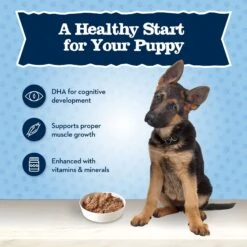 Blue Buffalo Baby Blue Large Breed Healthy Growth Formula Natural Chicken & Brown Rice Recipe Puppy Dry Food, 24-lb Bag & Blue Buffalo Baby Blue Healthy Growth Formula Natural Chicken & Vegetable Recipe Puppy Wet Food, 12.5-oz Cans, Case Of 12 -Blue Buffalo 515022 PT8. AC SS1800 V1649350919