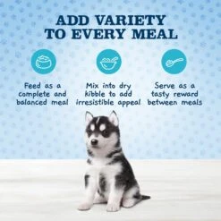 Blue Buffalo Baby Blue Healthy Growth Formula Natural Chicken & Vegetable Recipe Puppy Wet Food, 12.5-oz Cans, Case Of 12 & Blue Buffalo Baby Blue Healthy Growth Formula Grain-Free High Protein Turkey & Potato Recipe Puppy Wet Food, 12.5-oz Cans, Case Of 12 13 Blue Buffalo Baby Blue Healthy Growth Formula Natural Chicken & Vegetable Recipe Puppy Wet Food, 12.5-oz Cans, Case Of 12 & Blue Buffalo Baby Blue Healthy Growth Formula Grain-Free High Protein Turkey & Potato Recipe Puppy Wet Food, 12.5-oz Cans, Case Of 12 -Blue Buffalo 515038 PT4. AC SS1800 V1649349851