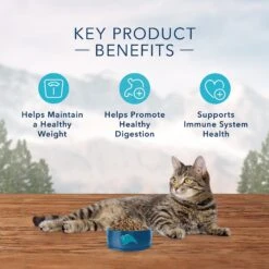 Blue Buffalo Wilderness Weight Control Chicken Recipe Grain-Free Dry Cat Food -Blue Buffalo 51552 PT3. AC SS1800 V1570660704