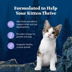 Blue Buffalo Wilderness High Protein Natural Grain-Free Chicken Kitten Dry Cat Food -Blue Buffalo 51555 PT3. AC SS1800 V1689283130