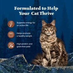 Blue Buffalo Wilderness Turkey Grain-Free Canned Cat Food -Blue Buffalo 51557 PT3. AC SS1800 V1702579877