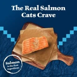 Blue Buffalo Wilderness Salmon Grain-Free Canned Cat Food -Blue Buffalo 51558 PT2. AC SS1800 V1646791893