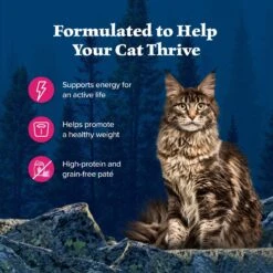 Blue Buffalo Wilderness Salmon Grain-Free Canned Cat Food -Blue Buffalo 51558 PT3. AC SS1800 V1646786190