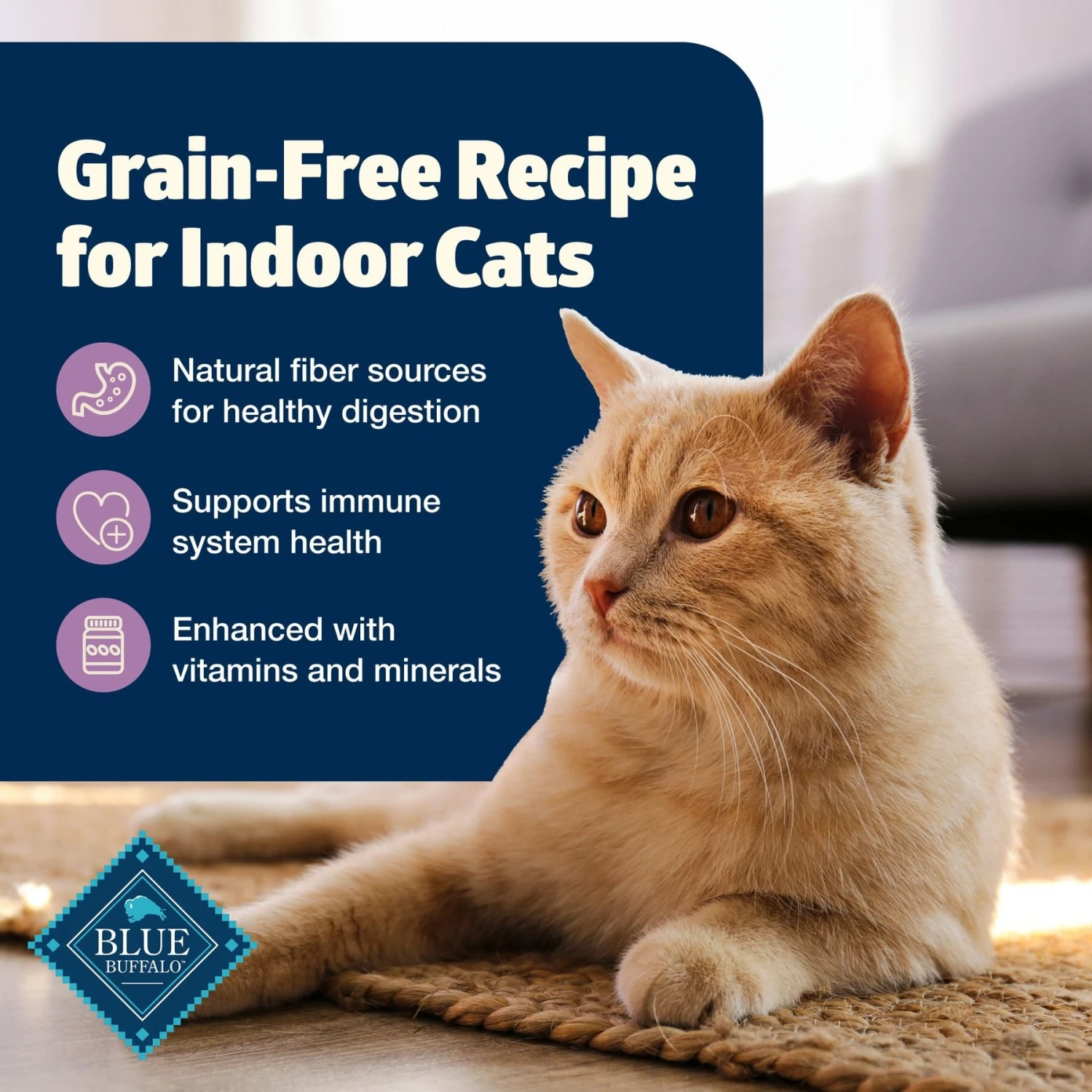 Blue Buffalo Freedom Indoor Adult Chicken Recipe Grain-Free Dry Cat Food 3 Blue Buffalo Freedom Indoor Adult Chicken Recipe Grain-Free Dry Cat Food - Image 3