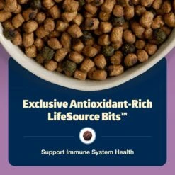 Blue Buffalo Freedom Indoor Adult Chicken Recipe Grain-Free Dry Cat Food 13 Blue Buffalo Freedom Indoor Adult Chicken Recipe Grain-Free Dry Cat Food -Blue Buffalo 51730 PT6. AC SS1800 V1649107900