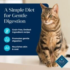 Blue Buffalo Basics Skin & Stomach Care Grain-Free Fish & Potato Entree Indoor Adult Canned Cat Food 11 Blue Buffalo Basics Skin & Stomach Care Grain-Free Fish & Potato Entree Indoor Adult Canned Cat Food -Blue Buffalo 51733 PT2. AC SS1800 V1646282830