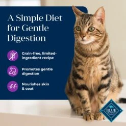 Blue Buffalo Basics Skin & Stomach Care Grain-Free Turkey & Potato Entree Indoor Adult Canned Cat Food 11 Blue Buffalo Basics Skin & Stomach Care Grain-Free Turkey & Potato Entree Indoor Adult Canned Cat Food -Blue Buffalo 51734 PT2. AC SS1800 V1646253722