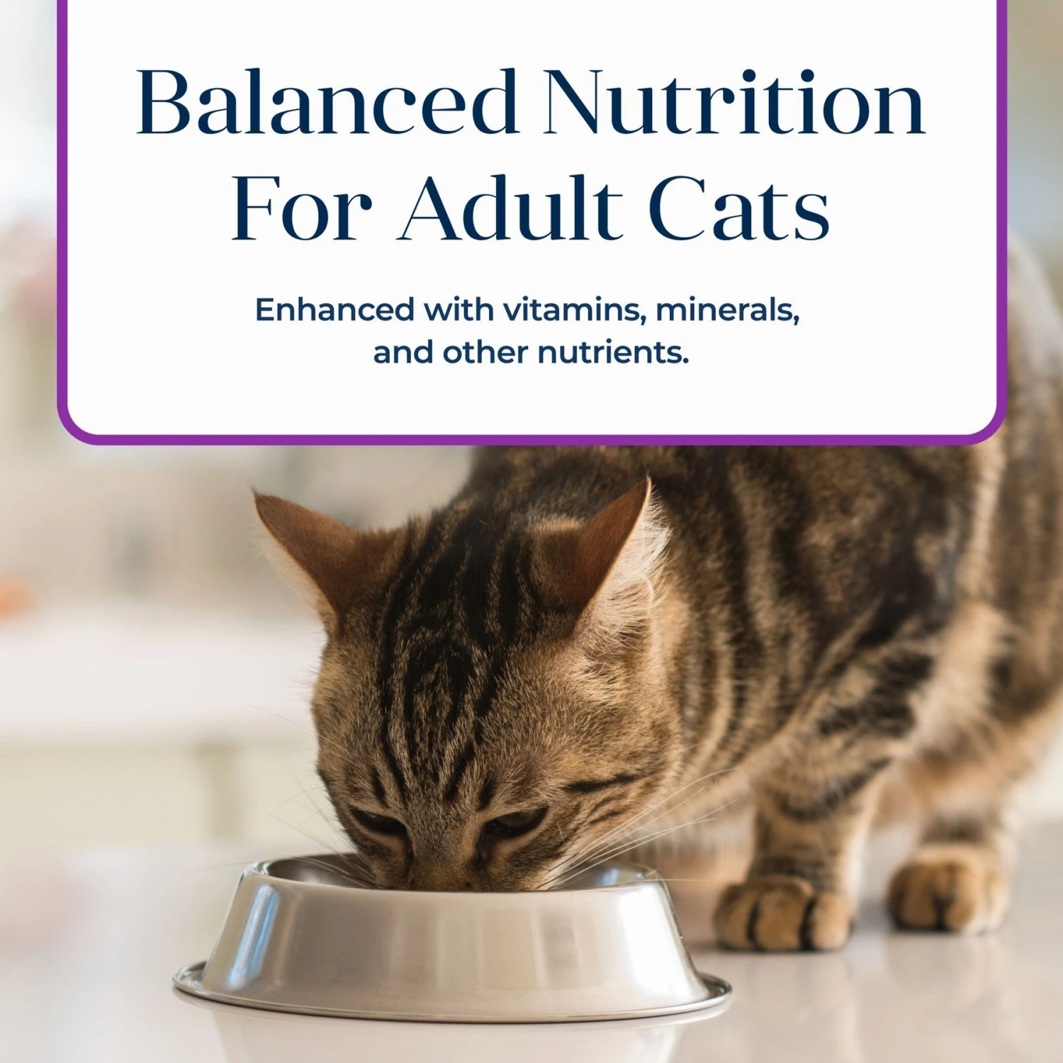 Blue Buffalo Basics Skin & Stomach Care Grain-Free Turkey & Potato Entree Indoor Adult Canned Cat Food 7 Blue Buffalo Basics Skin & Stomach Care Grain-Free Turkey & Potato Entree Indoor Adult Canned Cat Food - Image 7