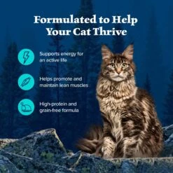 Blue Buffalo Wilderness Wild Delights Chicken & Trout In Tasty Gravy Grain-Free Canned Cat Food -Blue Buffalo 51766 PT3. AC SS1800 V1646779586
