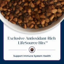 Blue Buffalo Basics Skin & Stomach Care Turkey & Potato Recipe Senior Dry Dog Food -Blue Buffalo 51892 PT7. AC SS1800 V1646280691
