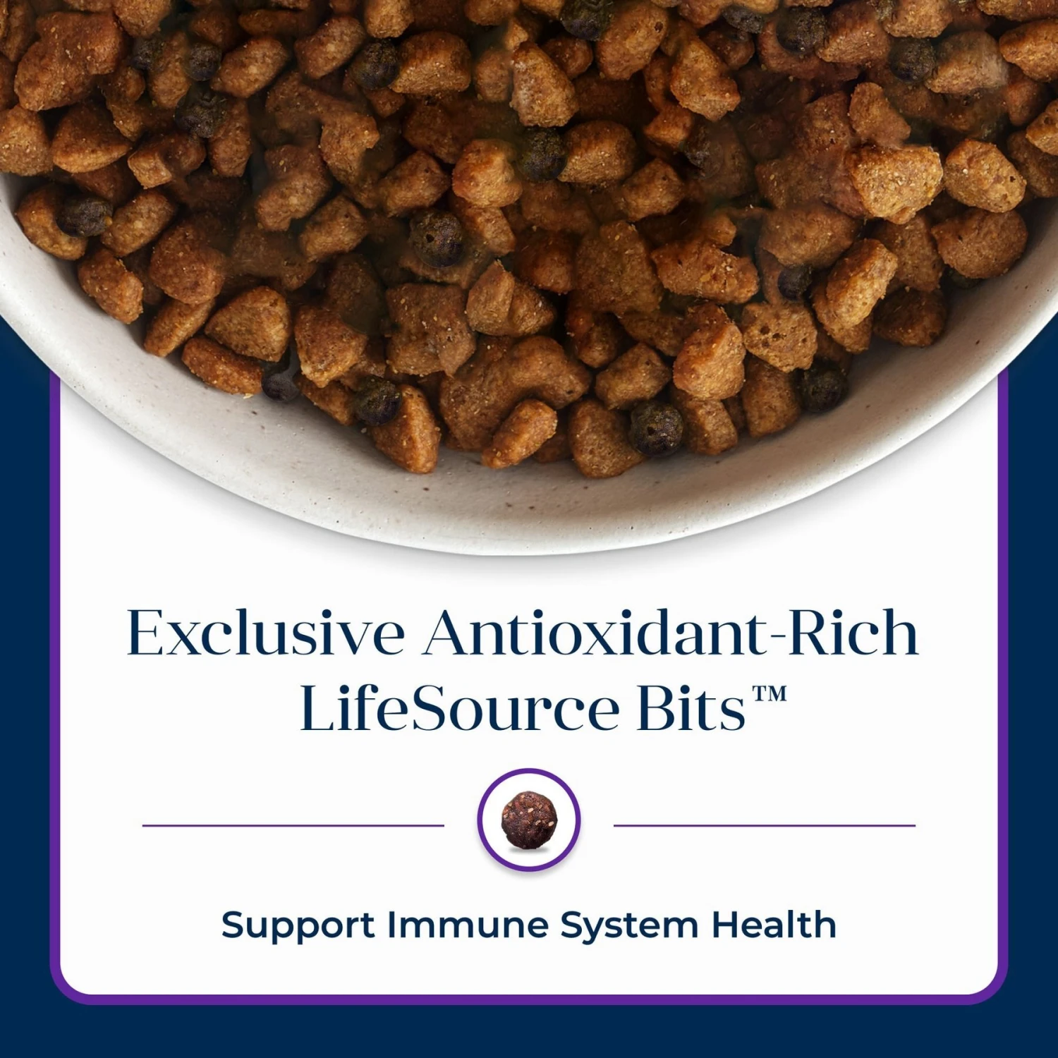 Blue Buffalo Basics Skin & Stomach Care Grain-Free Formula Turkey & Potato Recipe Adult Dry Dog Food 8 Blue Buffalo Basics Skin & Stomach Care Grain-Free Formula Turkey & Potato Recipe Adult Dry Dog Food - Image 8